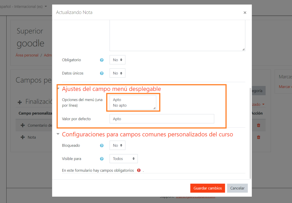 custom field configuration