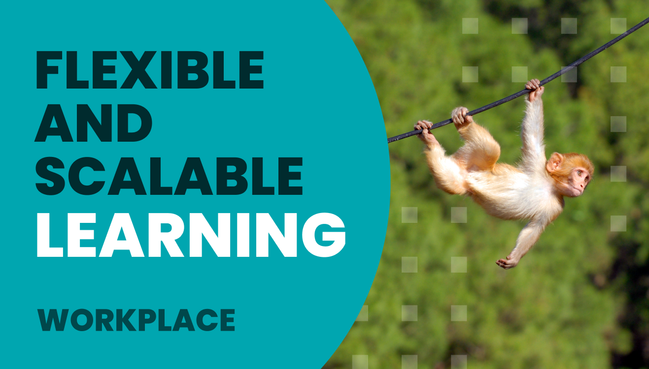 Flexible and scalable learning with Moodle Workplace - E-learning ...