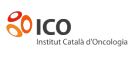 logo ico2