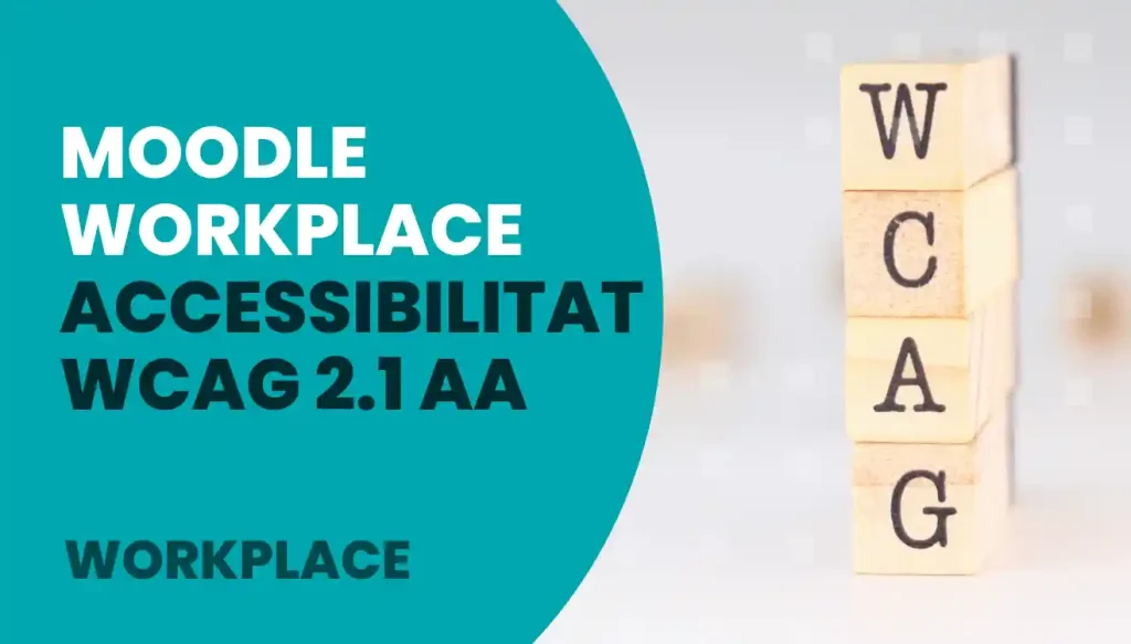 portada_accessibilitat workplace