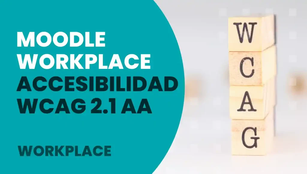 imatge_workplace accessibilidad